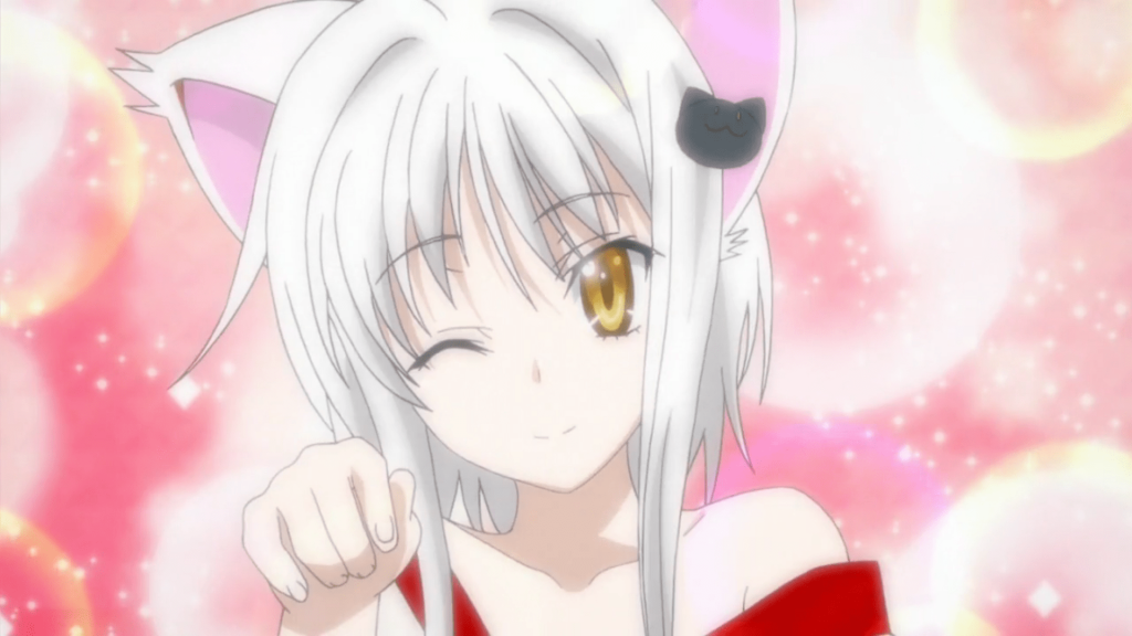 Koneko Toujou , Golden Eyed and White Haired Cute Girl From High School DxD