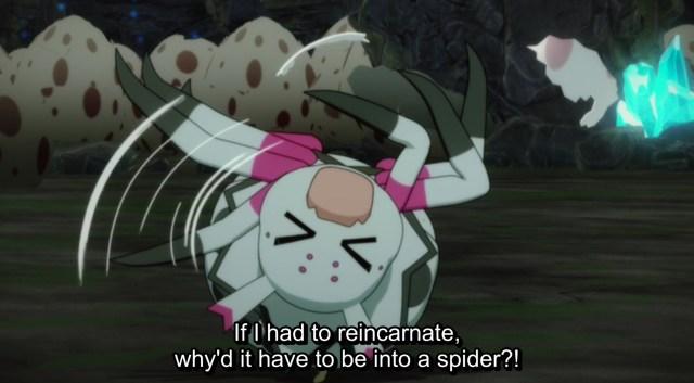 So-i-am-a-spider-so-what