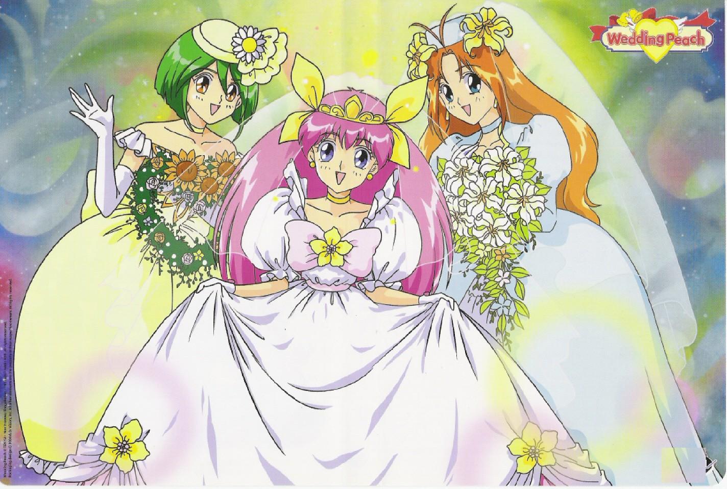 Best magic girl shoujo anime you must watch, Mysterious Thief Saint Tail, Wedding Peach